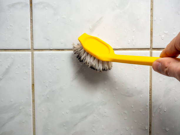  Bryn Mawr Skyy, WA Mold Removal Pros