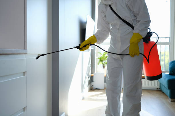 Best Mold Cleaning Services  in Bryn Mawr Skyy, WA