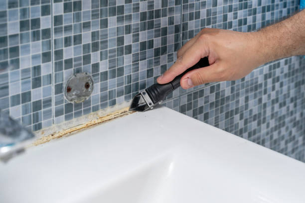Best Certified Mold Removal  in Bryn Mawr Skyy, WA