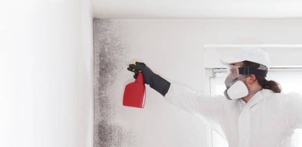 Best Mold Testing  in Bryn Mawr Skyy, WA